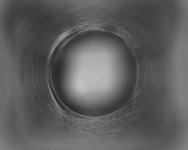 X0000052630003200507011332