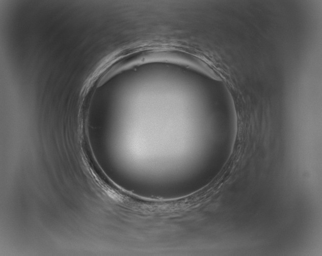 X0000052630005200507011332