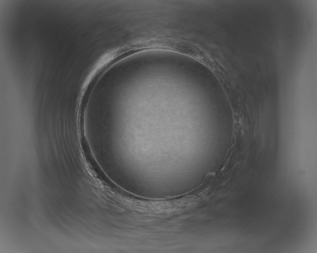 X0000052630006200507011332