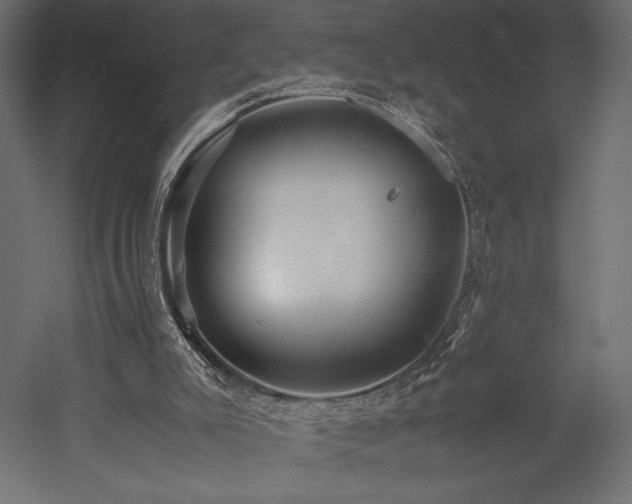 X0000052630007200507011332