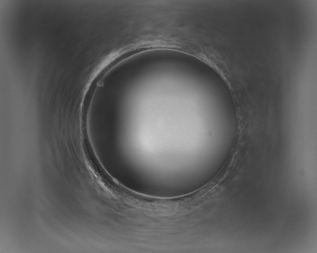 X0000052630008200507011332