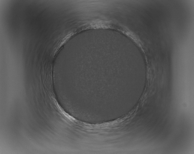 X0000052630009200507011332