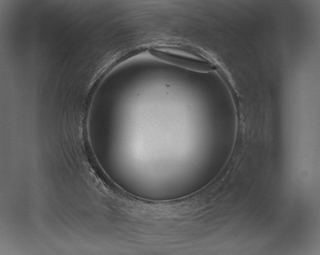 X0000052630010200507011332