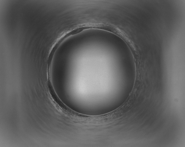 X0000052630011200507011332