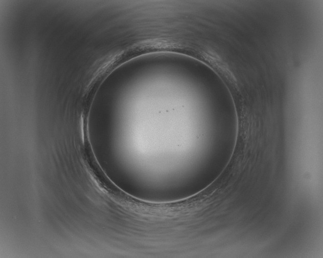 X0000052630014200507011332