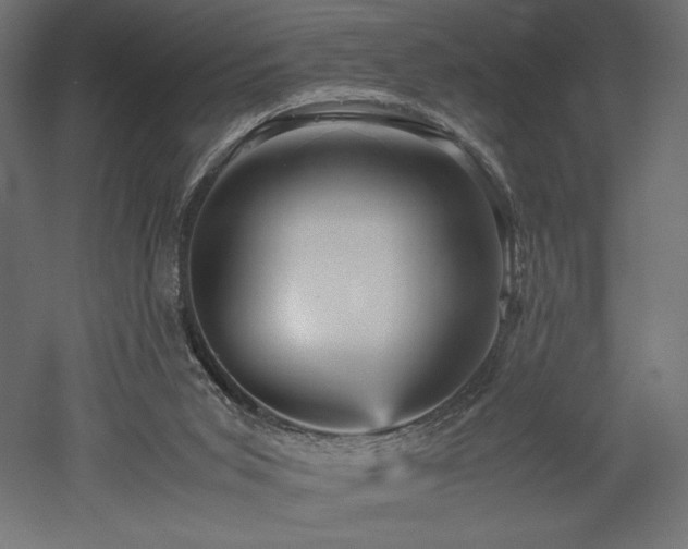 X0000052630015200507011332