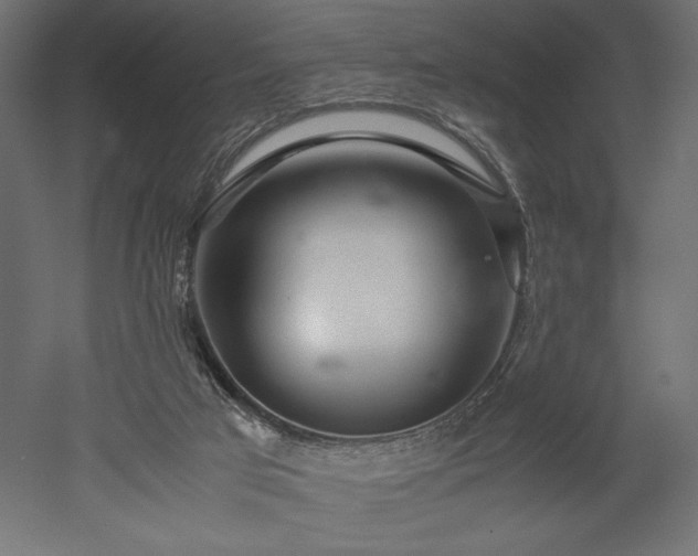 X0000052630017200507011332