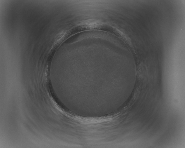 X0000052630018200507011332