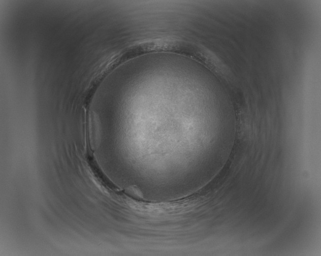 X0000052630022200507011332
