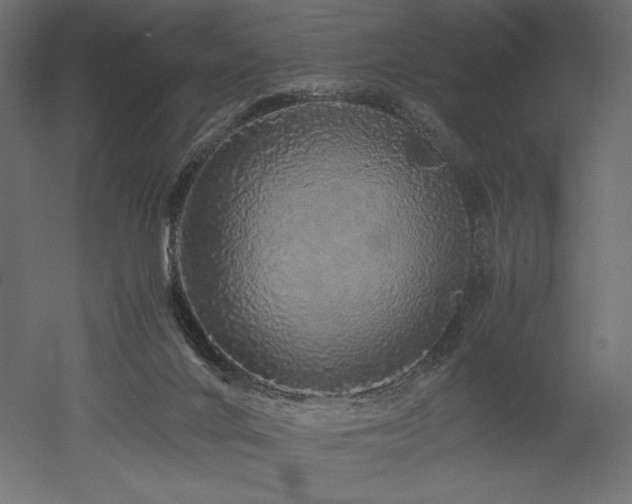 X0000052630024200507011332