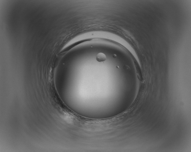 X0000052630025200507011332