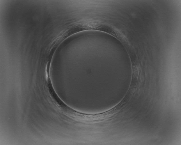 X0000052630027200507011332