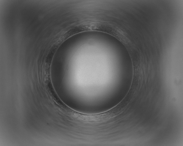 X0000052630030200507011332