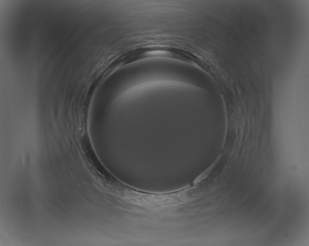 X0000052630031200507011332