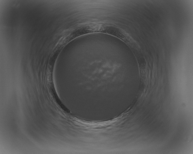 X0000052630035200507011332