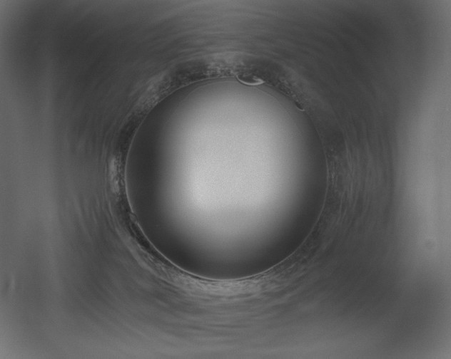 X0000052630038200507011331