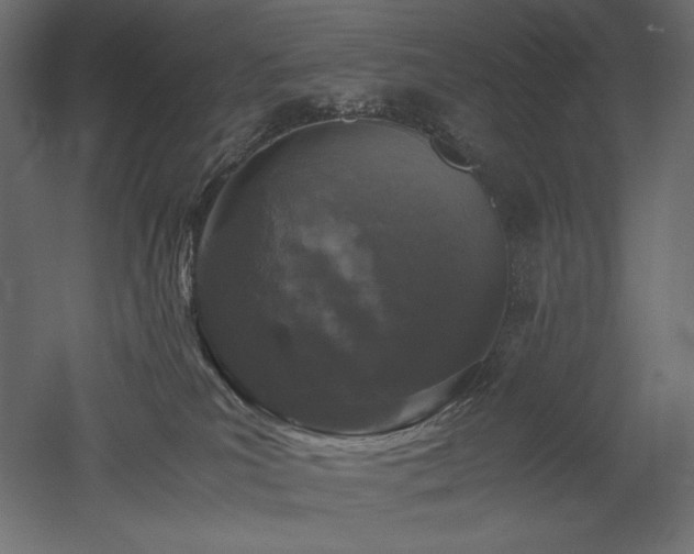 X0000052630039200507011331