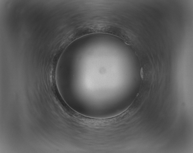 X0000052630040200507011331