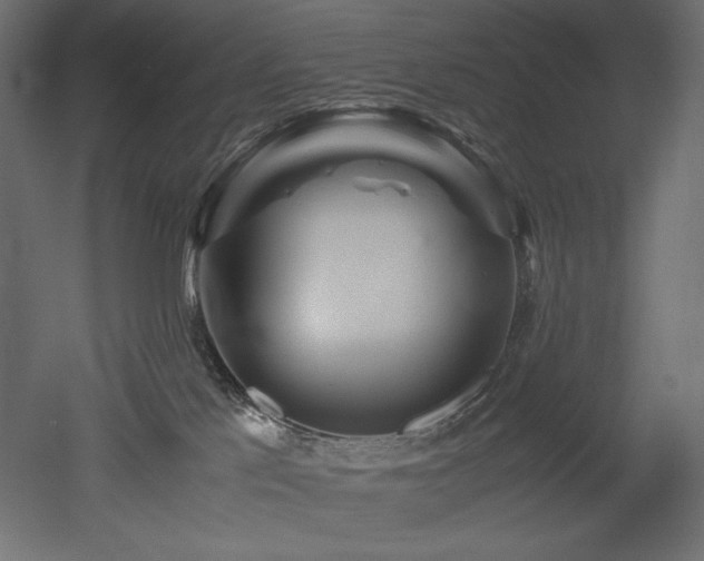 X0000052630041200507011331