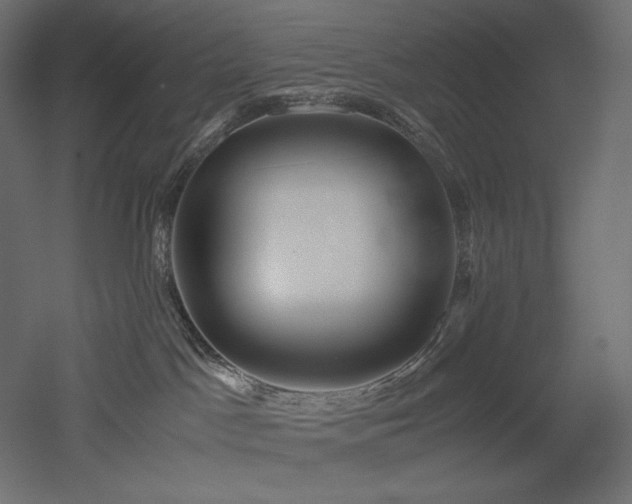 X0000052630045200507011331