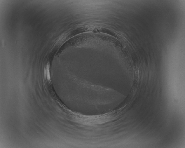 X0000052630046200507011331