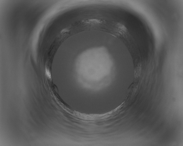 X0000052630047200507011331