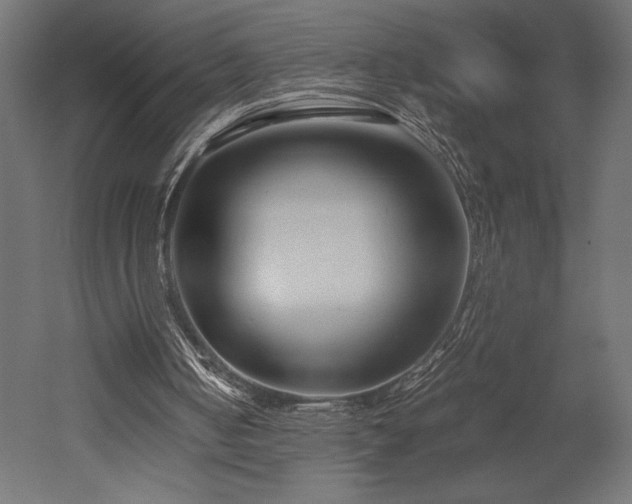 X0000052630050200507011330