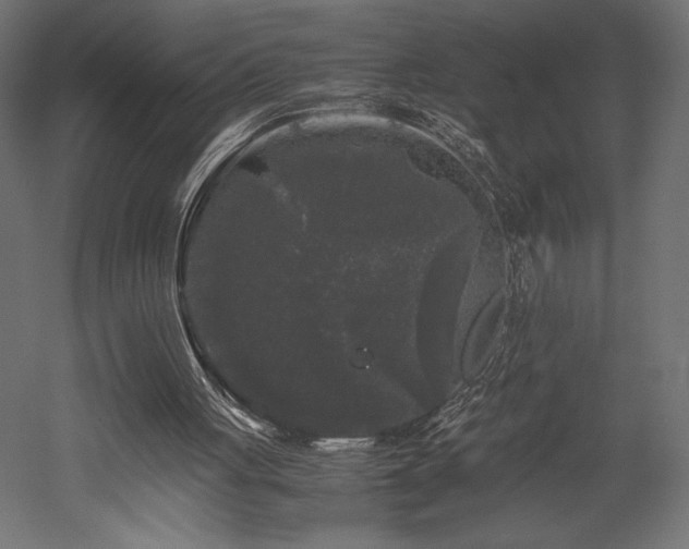 X0000052630051200507011331