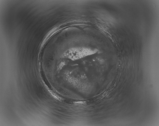 X0000052630053200507011331