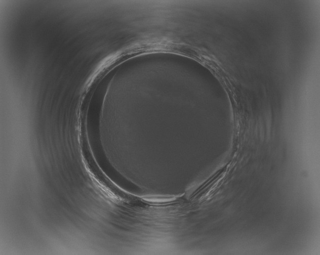 X0000052630054200507011331