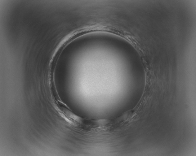 X0000052630056200507011331
