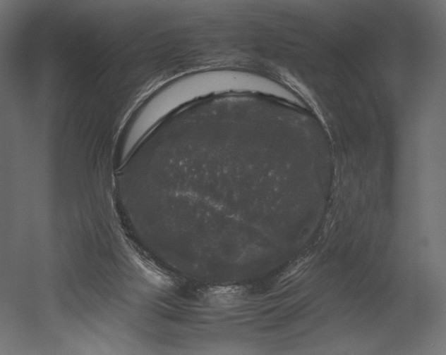 X0000052630059200507011331