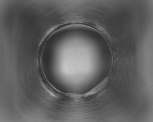 X0000052630060200507011331