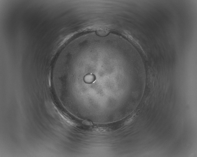 X0000052630062200507011331