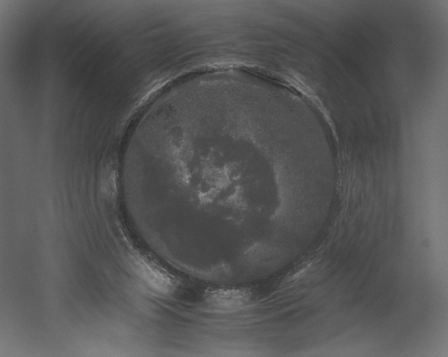 X0000052630063200507011331