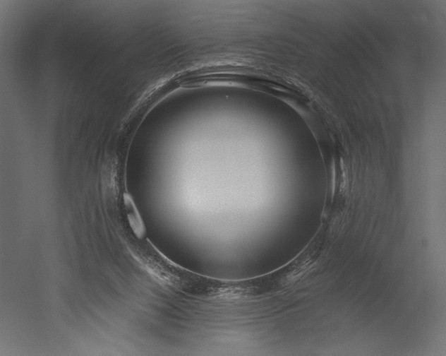 X0000052630064200507011331