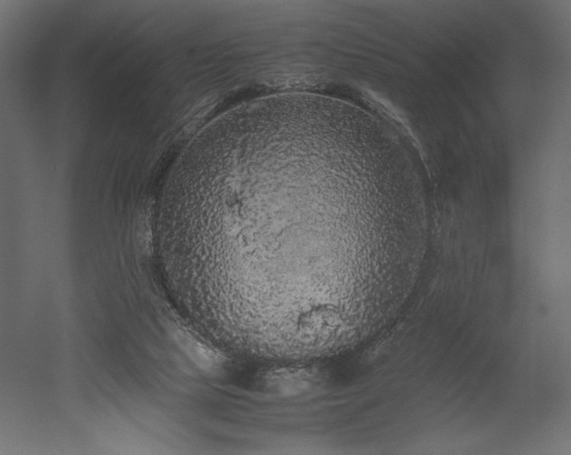 X0000052630065200507011331