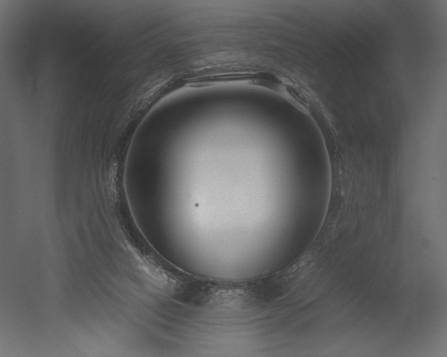 X0000052630066200507011331