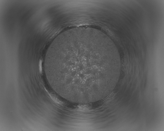 X0000052630070200507011331
