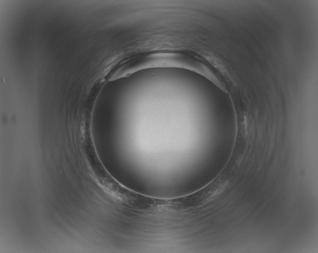 X0000052630072200507011331