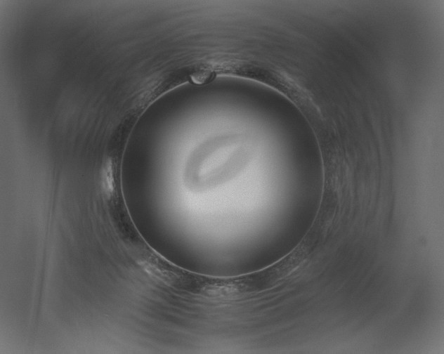 X0000052630075200507011331