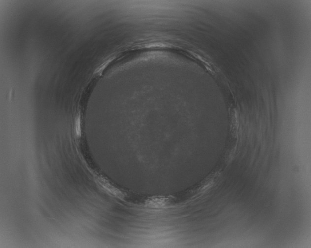 X0000052630076200507011331