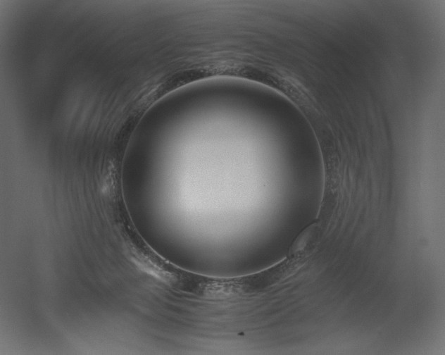 X0000052630077200507011331