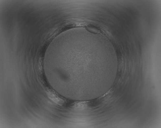 X0000052630078200507011331