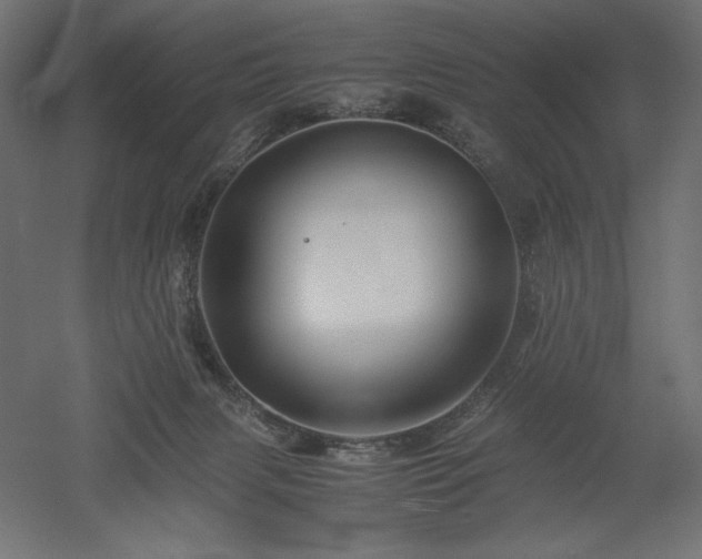 X0000052630079200507011331