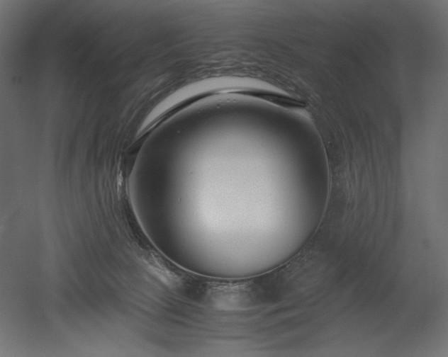 X0000052630081200507011331