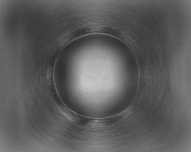 X0000052630082200507011331