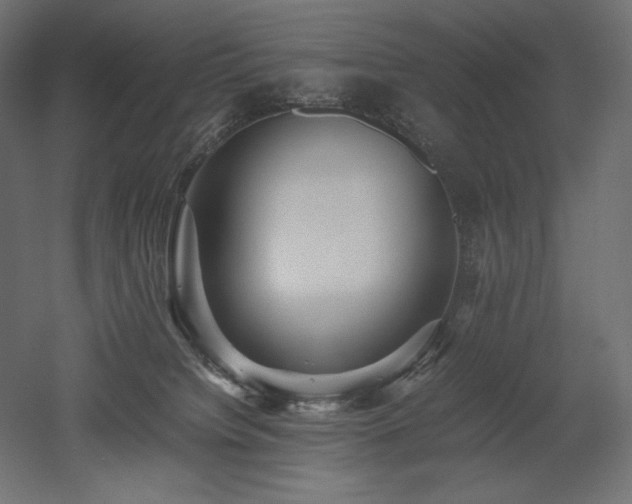 X0000052630084200507011331