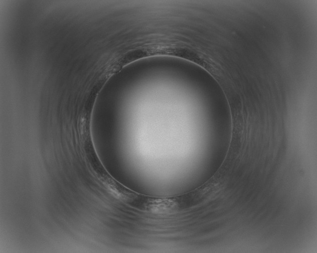 X0000052630087200507011331