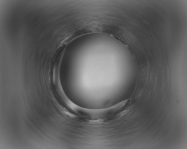 X0000052630088200507011331
